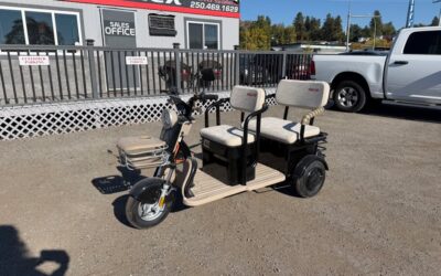 BRAND NEW MINI GOLF CART